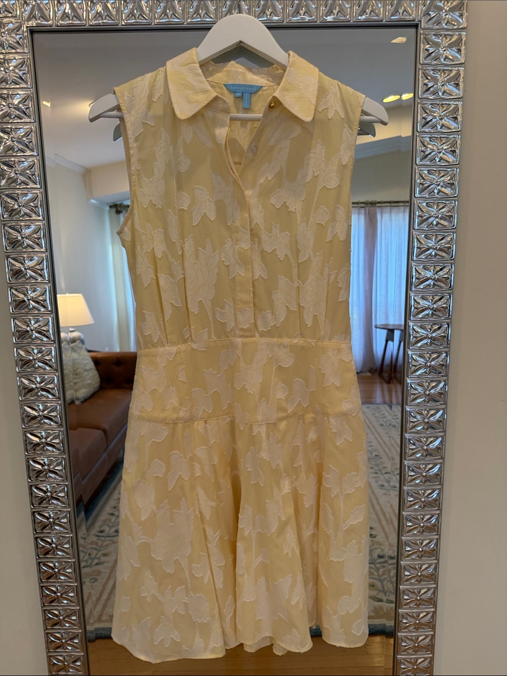 Draper James Pale Yellow Sleeveless Collared Fit-and-Flare Dress
